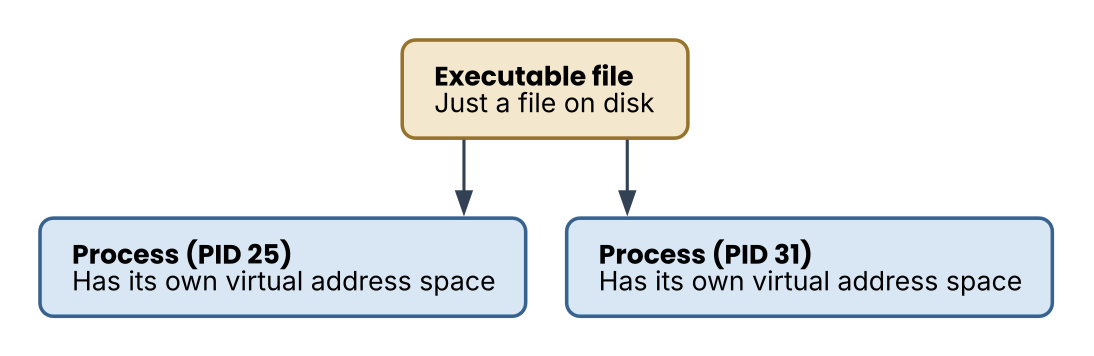 Executable file and processes