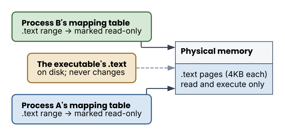 Two processes sharing the same physical page