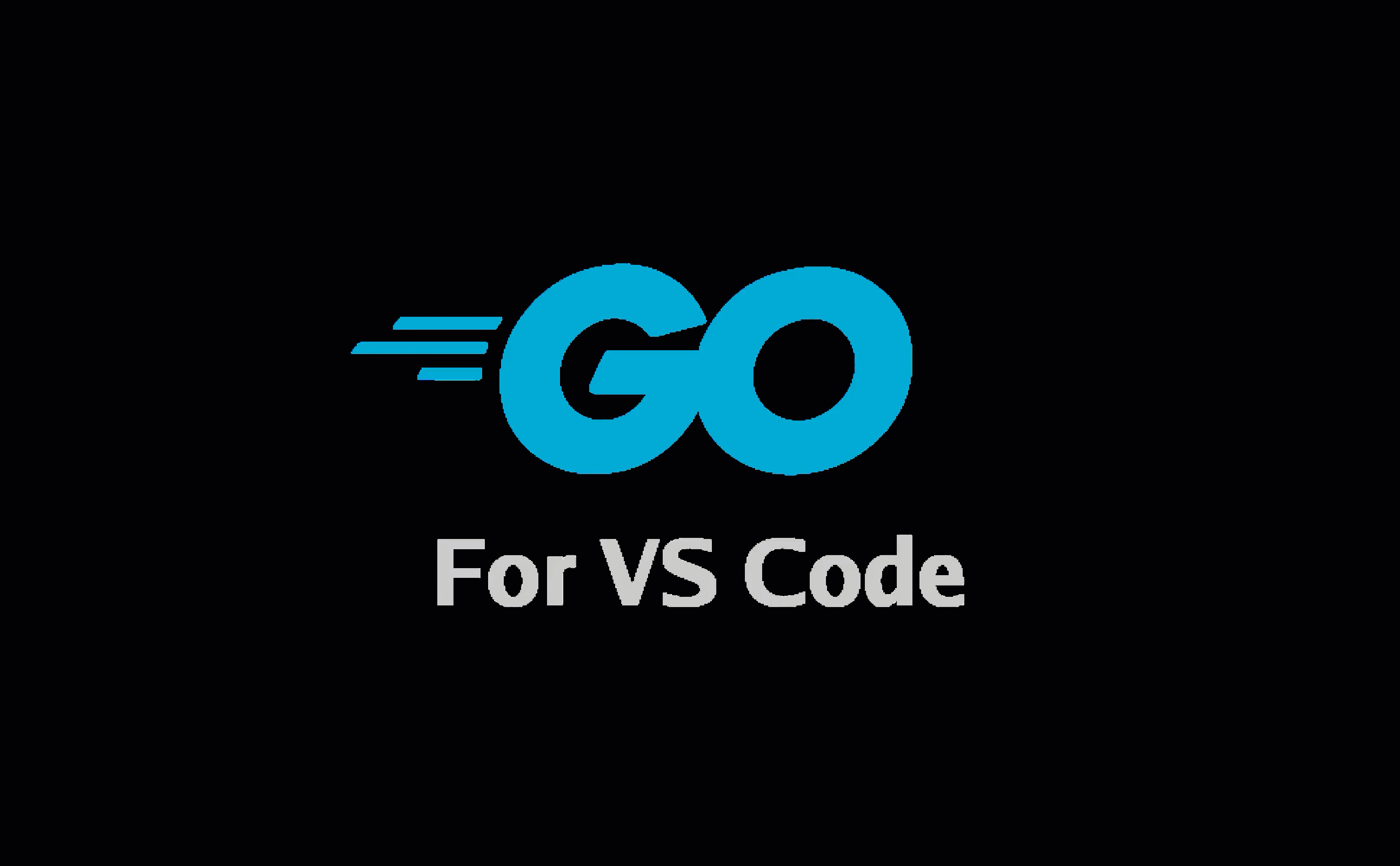 gopls-vscode-go_features