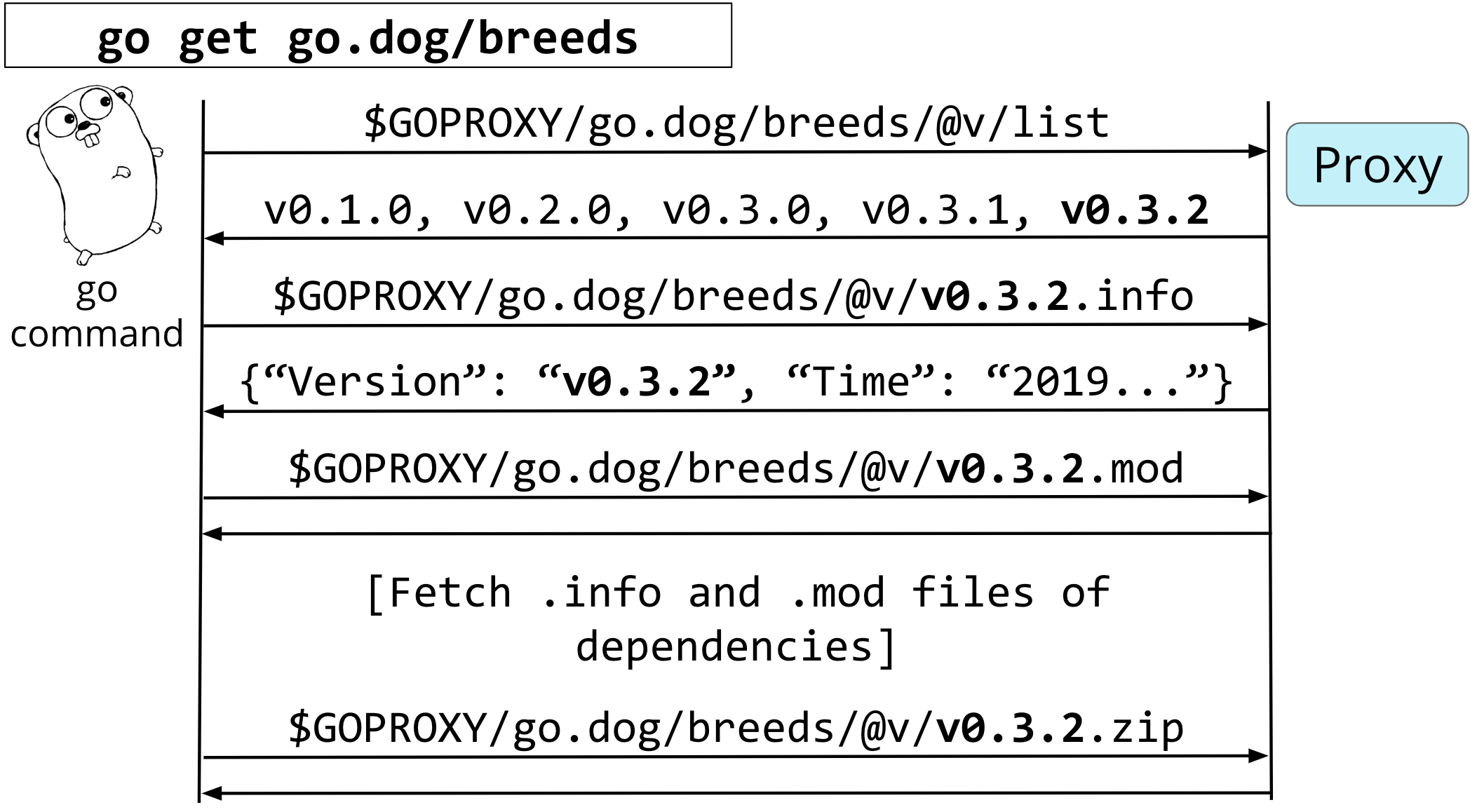 proxy-protocol