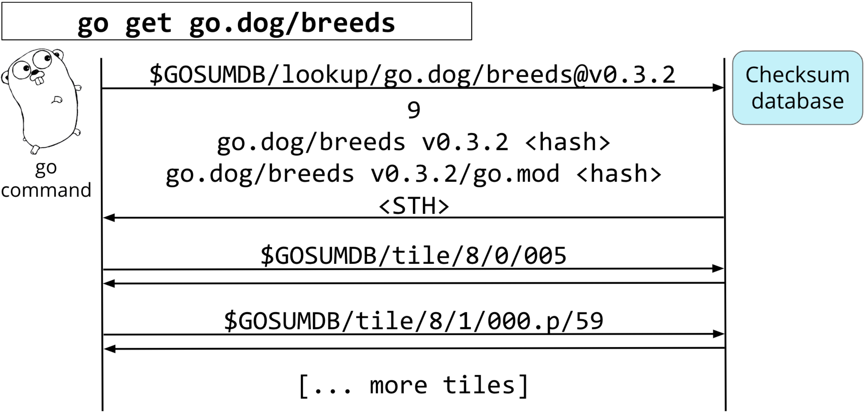 sumdb-protocol
